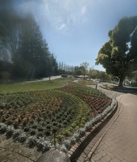 PXL_20260411_052834722~2