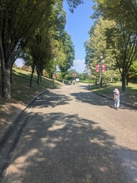 PXL_20260516_004357845