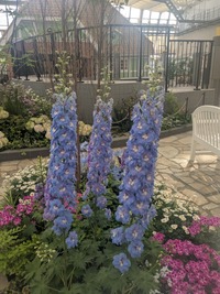 PXL_20260412_063354456