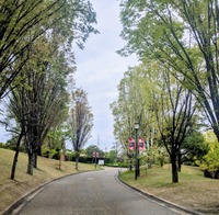 PXL_20260415_004857379~2
