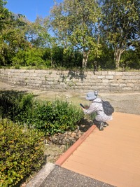 PXL_20260412_051257937~2