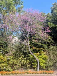 PXL_20260412_050430923~2