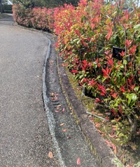 PXL_20260405_004517002~2