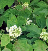 PXL_20260520_010721999~2