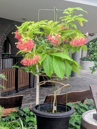 PXL_20260606_055204961~2