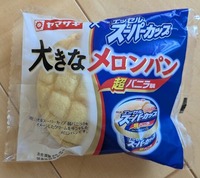 PXL_20250830_054922916