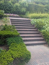 PXL_20260516_022533551