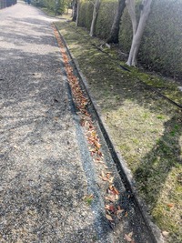 PXL_20260405_005320287~2