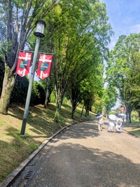 PXL_20260504_003817678~2