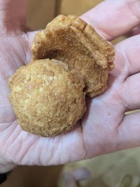 PXL_20250812_101426732