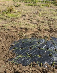 PXL_20241104_031323747~2