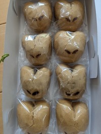 PXL_20250201_032313830