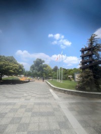 PXL_20260516_015606118~2