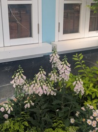 PXL_20260412_064700829