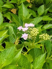 PXL_20260606_053053279~2