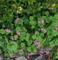 PXL_20260411_053105730~2