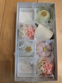 PXL_20250125_065233437