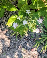 PXL_20260530_015254080~2