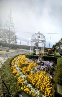 PXL_20260405_004222019~2