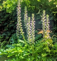 PXL_20260610_013044569~2