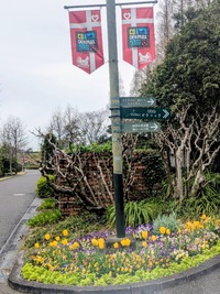 PXL_20260401_010526016~2