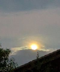 PXL_20251006_085657861