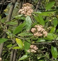 PXL_20260408_013216735~2