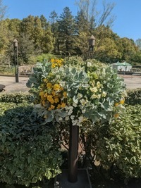 PXL_20260408_004339372~2