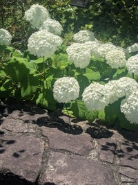 PXL_20260610_015600068