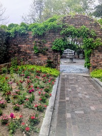 PXL_20260415_012248978~2
