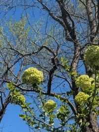 PXL_20260408_012528506~2