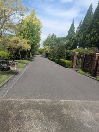 PXL_20260504_010953996