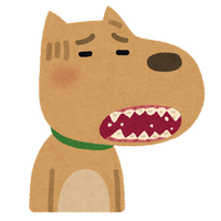 pet_ha_byouki_dog
