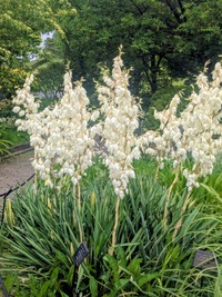 PXL_20260606_050255796~2