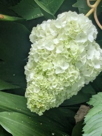 PXL_20260523_034557718