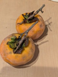 PXL_20241013_224546593