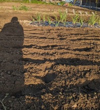 PXL_20240412_082355260~2