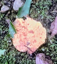 PXL_20260912_023110644~2