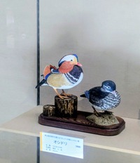 PXL_20260715_043255533~2