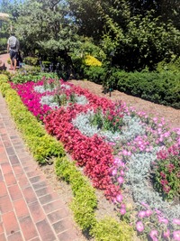PXL_20260530_004424406~2