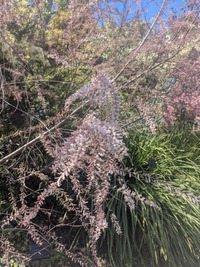 PXL_20260411_050230646