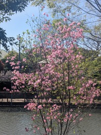PXL_20260411_053640506