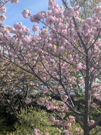 PXL_20260412_062104206