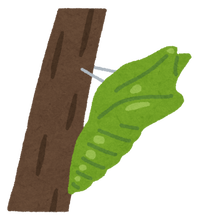 bug_sanagi