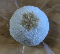 PXL_20250125_070206986