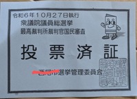 PXL_20241026_232229618~3