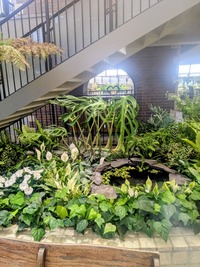 PXL_20260530_024046400~2