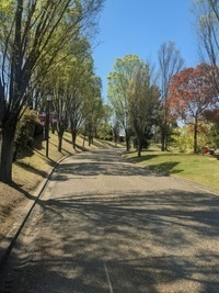 PXL_20260411_041759279~2