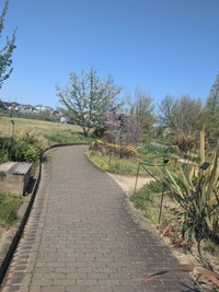 PXL_20260411_044623241
