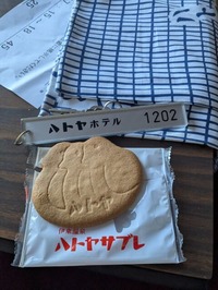 PXL_20251101_071150390